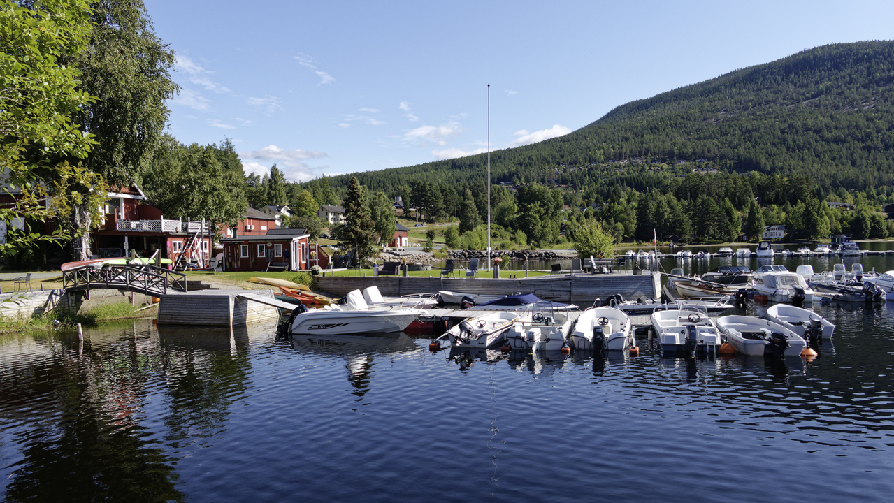 20260817 105450•Vradal•Kviteseid•Telemark•Norway (Alt 319.2 m )